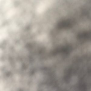 Meet your Posher, Owen